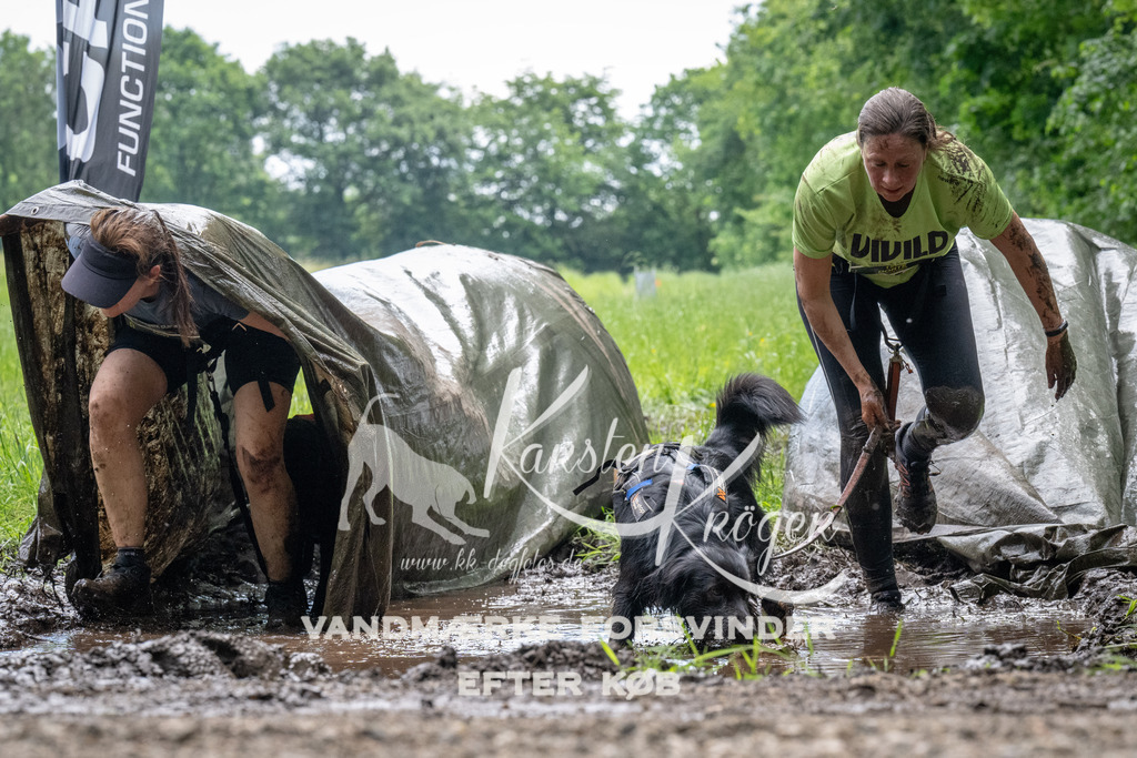 1110_ZZ91768 | kk-dogfotos