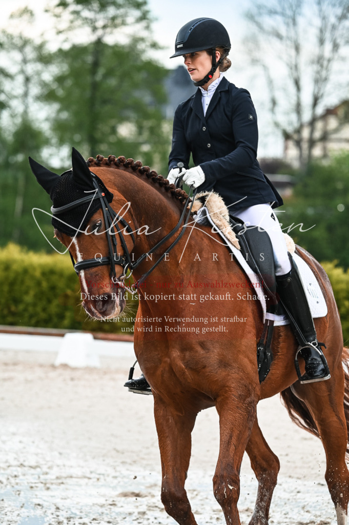 DSC_4258 | Pferde- und Turnierfotografie in Westsachsen. Pferdeportraits, Auftragszeichnungen und intuitive Kunst.
