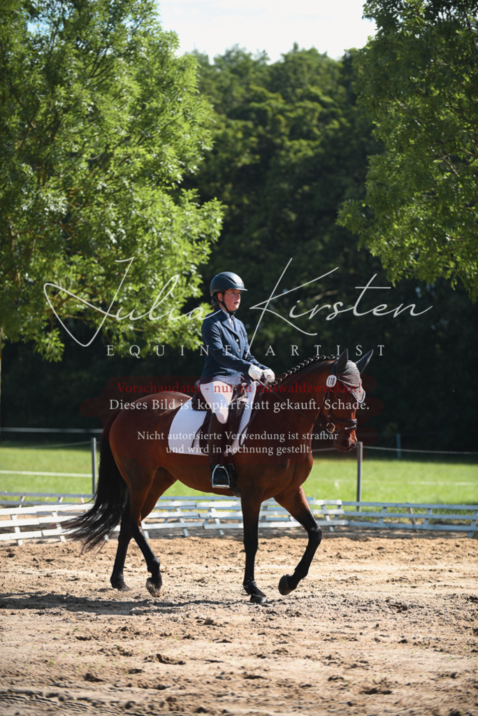 DSC_0320 | Pferde- und Turnierfotografie in Westsachsen. Pferdeportraits, Auftragszeichnungen und intuitive Kunst.