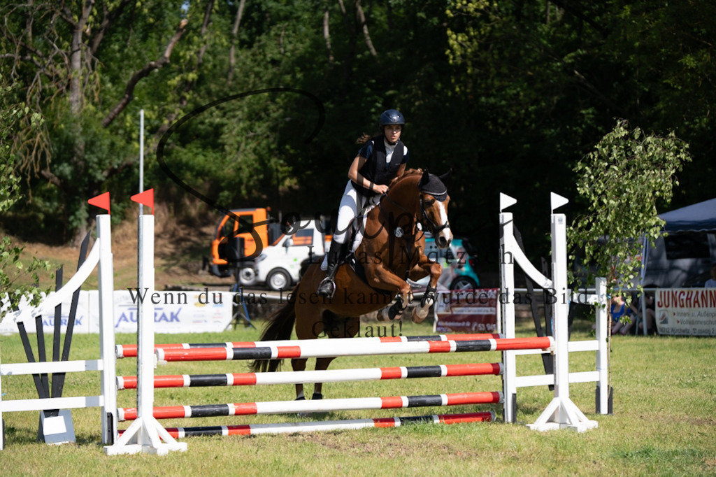 A7V05523 | Pferdefotograf