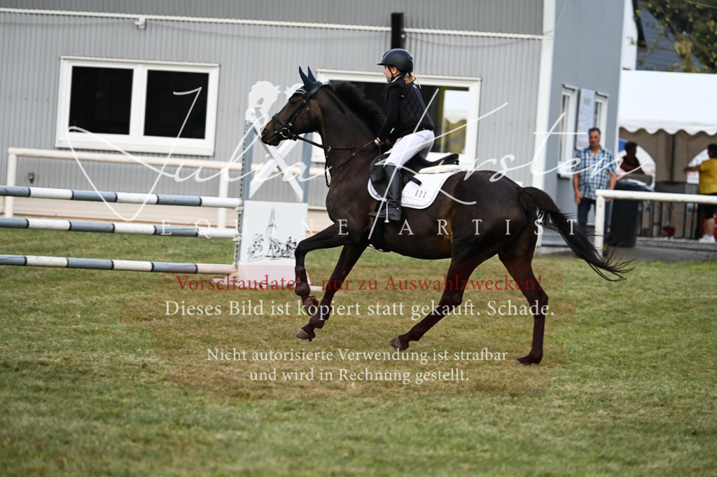 DSC_5578 | Pferde- und Turnierfotografie in Westsachsen. Pferdeportraits, Auftragszeichnungen und intuitive Kunst.