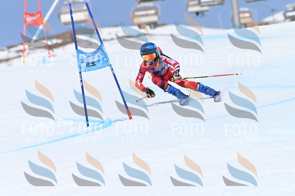 BGV_2777 | holidayphoto