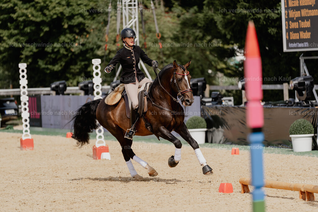 Virginie12FHC2025-3043 | working equitationturnier fotograf videograf stoibphotography marixx film working equitation deutschland reitsport turnierfotografie eventfotografie equestrian events