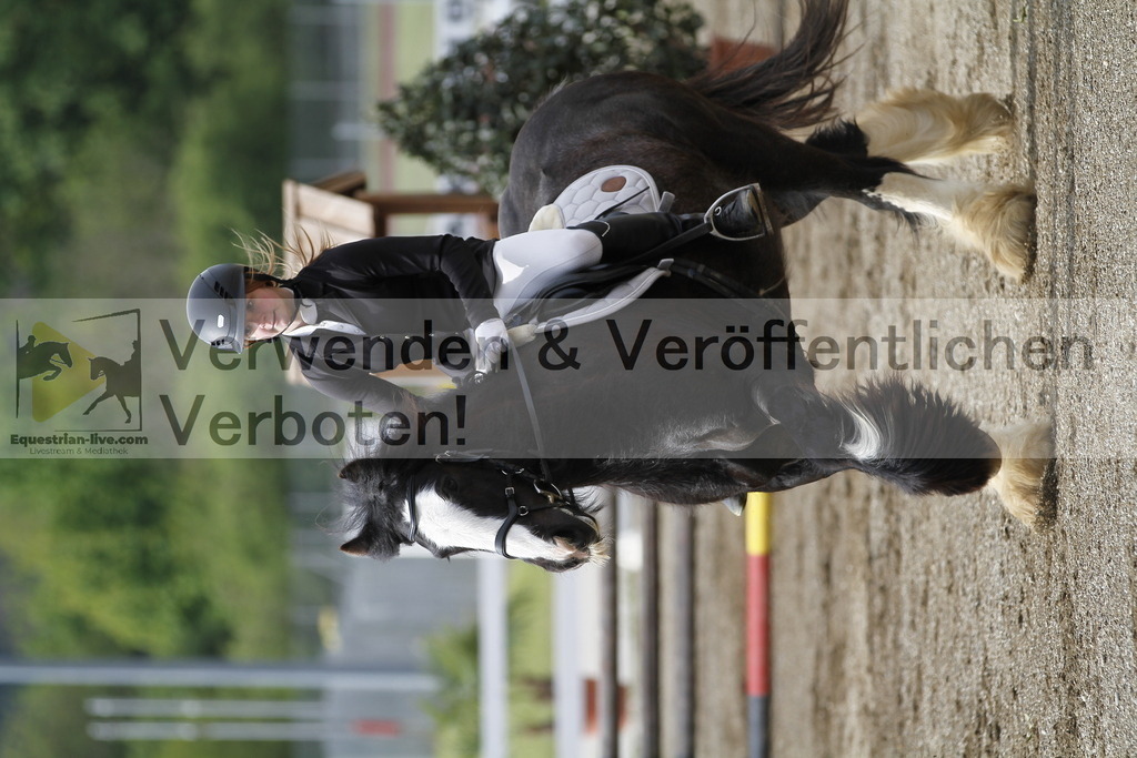 _MG_1217 | equestrian-live-com