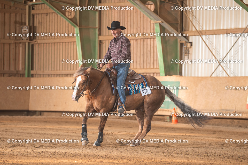 Balingen Tag 2-1388 | dv-media-shop - Realisiert mit Pictrs.com