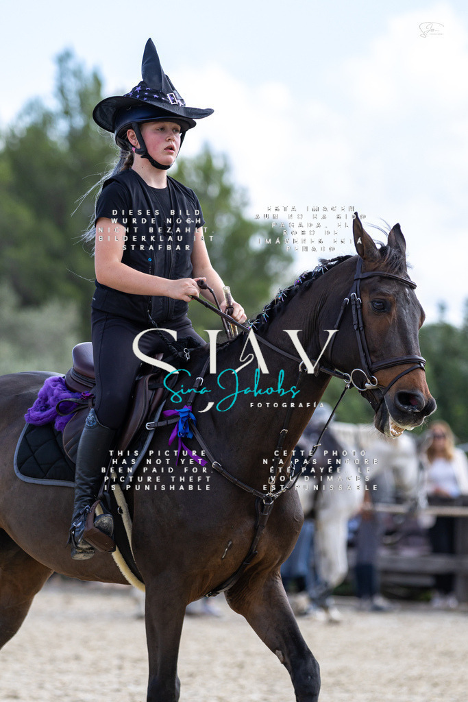 IMG_3255 | s-jay-photography - Realisiert mit Pictrs.com