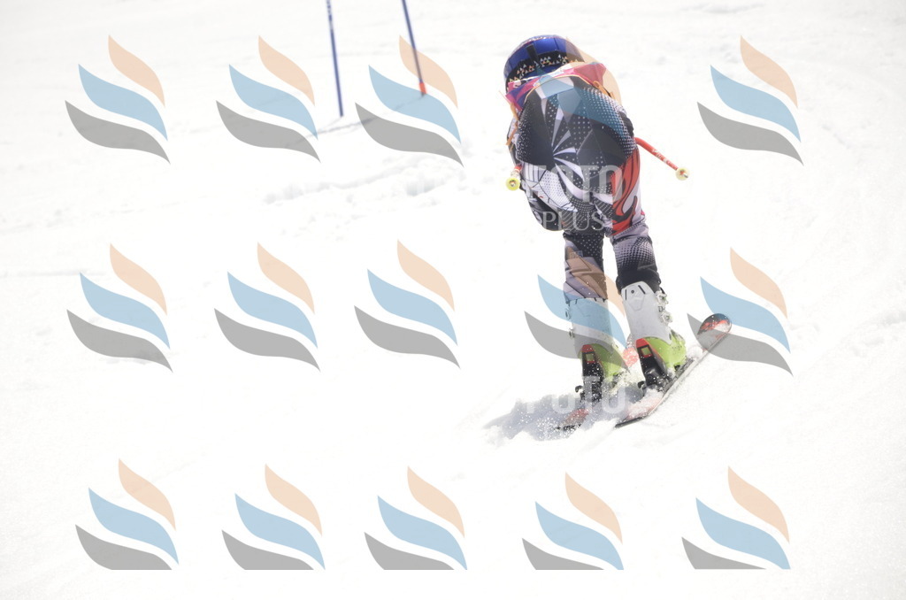 _ELE9151 | holidayphoto