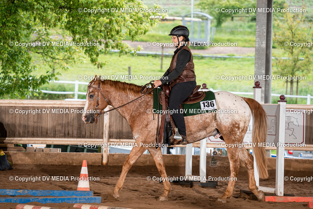 Erbach Tag 1-174 | dv-media-shop - Realisiert mit Pictrs.com