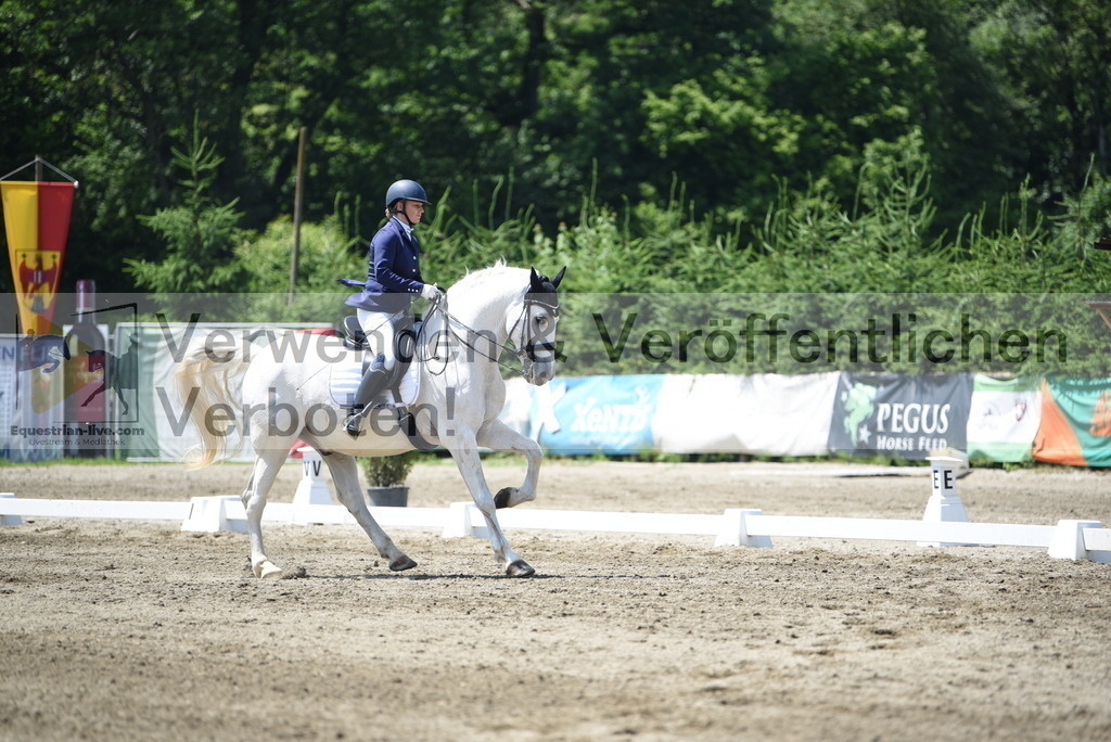 DSC_0302 | equestrian-live-com
