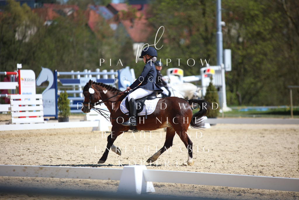 IMGT1372 | pl-fotografie