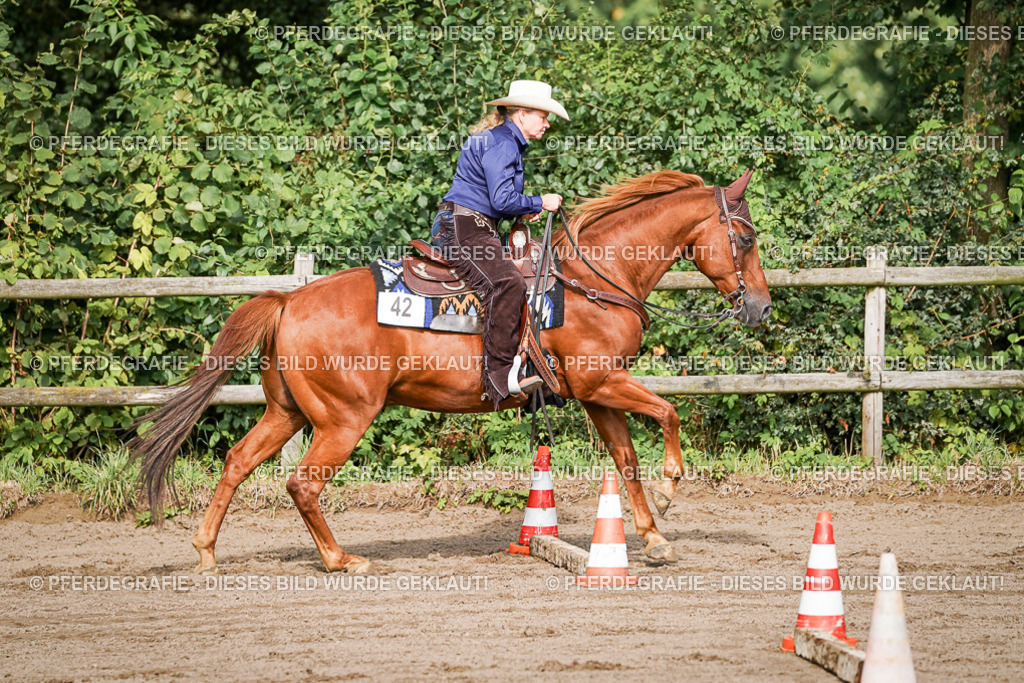 DSC00273 | Pferdegrafie