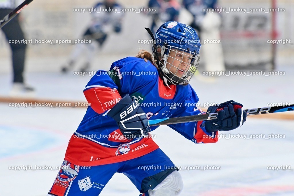 Dukes RINK Rumble Spittal a.d.Drau 9.-10.9.2023 | hockey sports photos, Pressefotos, Sportfotos, hockey247, win 2day icehockeyleague, Handball Austria, Floorball Austria, ÖVV, Kärntner Eishockeyverband, KEHV, KFV, Kärntner Fussballverband, Österreichischer Volleyballverband, Alps Hockey League, ÖFB, 