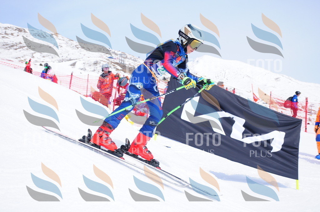 DSC_2667 | holidayphoto