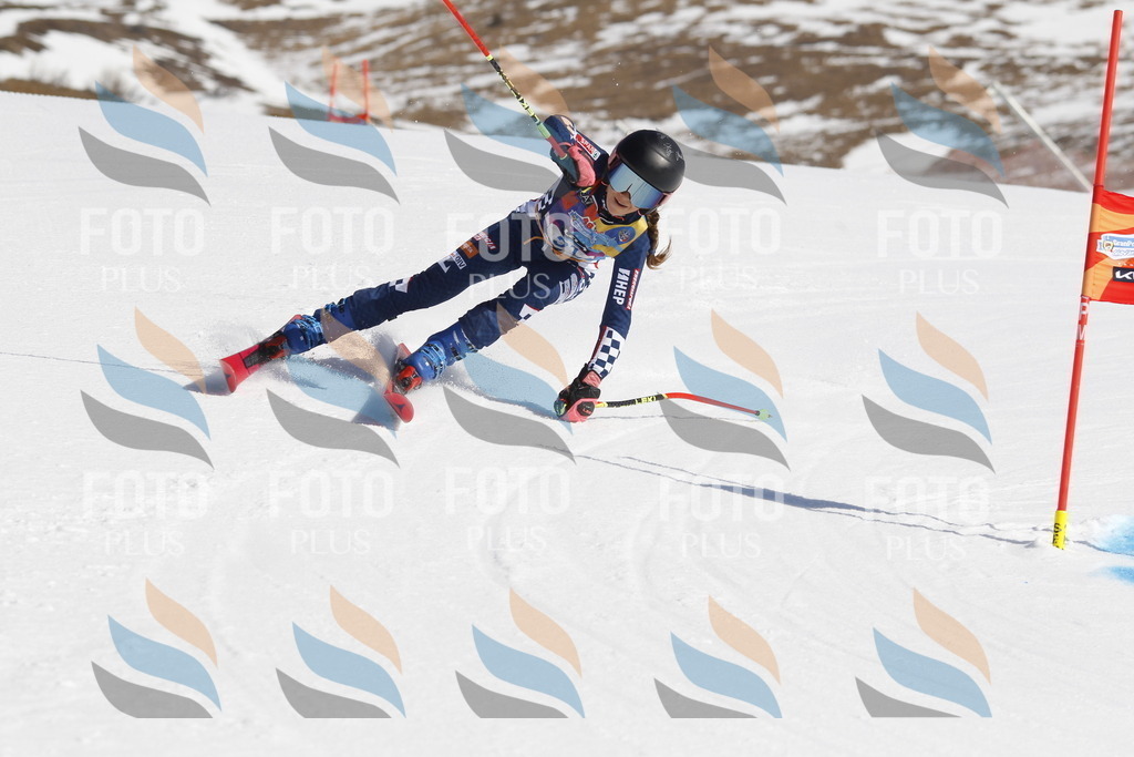 _U3G9055 | holidayphoto