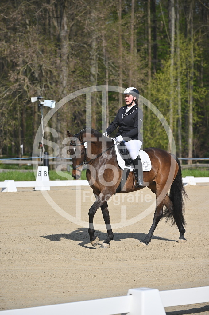 DSC_9986 | sattelsport - Realisiert mit Pictrs.com