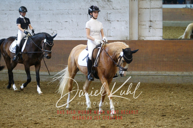 DKP44017 | Turniersportfotografie; Pferdefotografie; Dressurfotografie