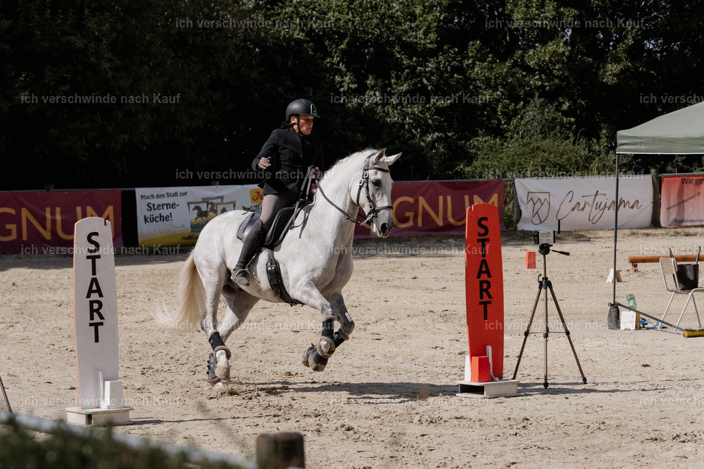 WS_SP_43_SinaFilmArt_IN08370 | working equitationturnier fotograf videograf stoibphotography marixx film working equitation deutschland reitsport turnierfotografie eventfotografie equestrian events