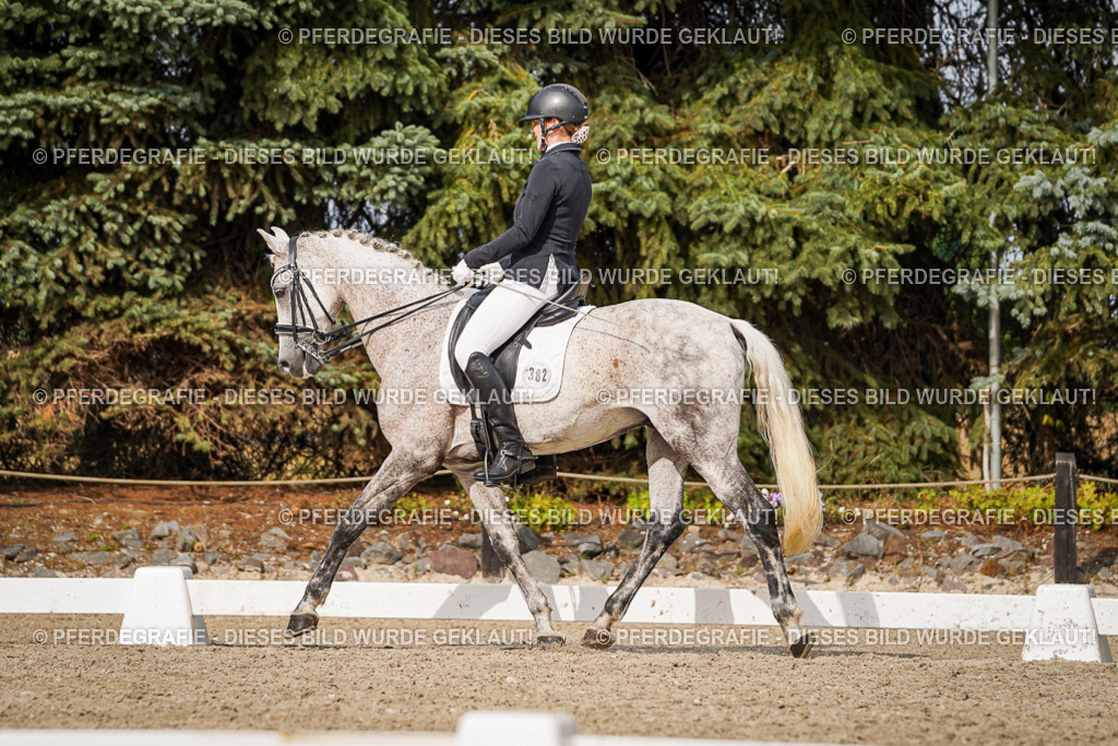 DSC07052 | Pferdegrafie