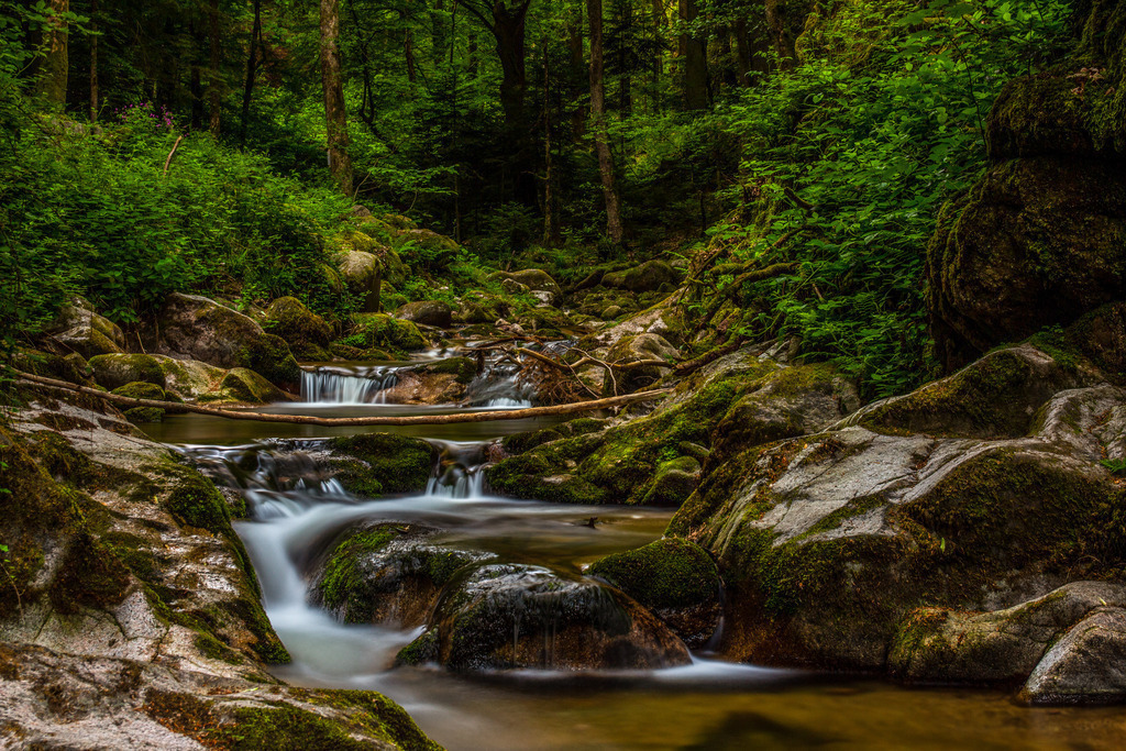 IMG_0071 | ehrlichefotos - Realisiert mit Pictrs.com