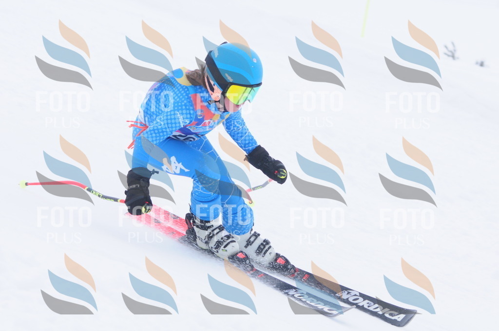 C2732 | holidayphoto