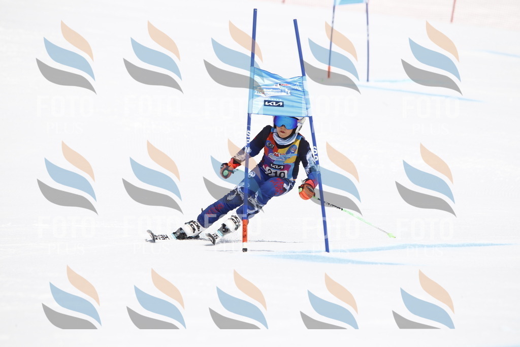 _U3G5411 | holidayphoto