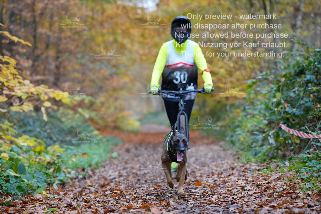 Scooter_So-59 | stephaniefillaphotographie - Realisiert mit Pictrs.com