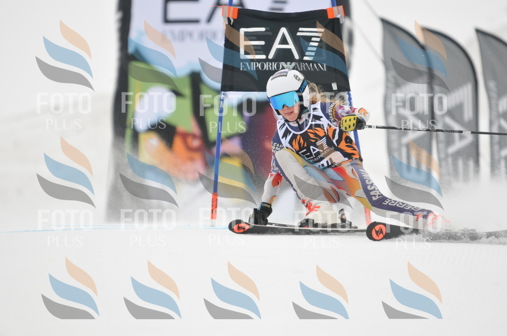 DSC_7659 | holidayphoto