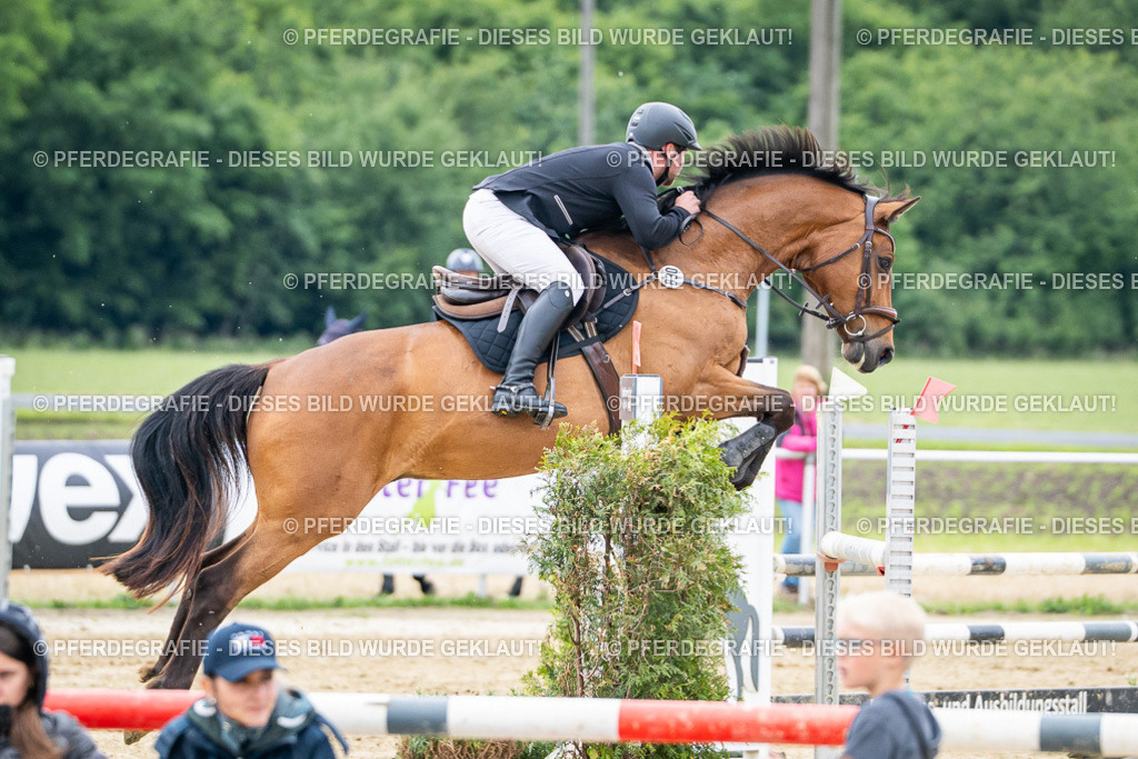 DSC05406 | Pferdegrafie