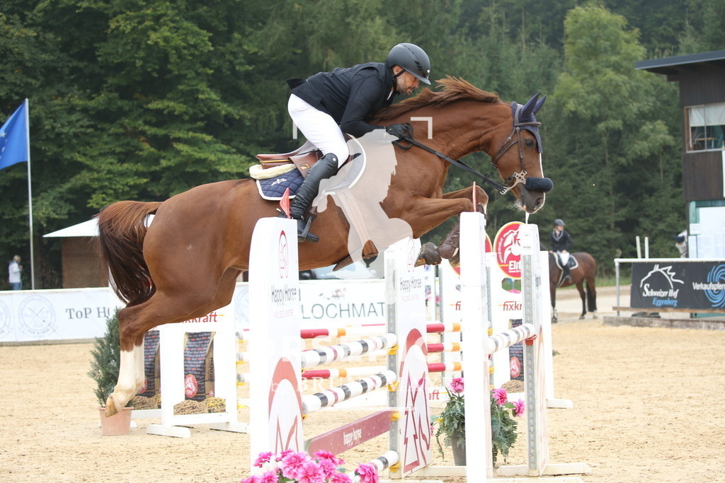 DL2Q3760 | Willkommen bei Brunnmayr - Design & Fotografie – Ihrem Spezialisten für Reitturniere und Pferdeveranstaltungen in Oberösterreich, Salzburg und Bayern! Seit über 17 Jahren sind wir leidenschaftlich dabei.