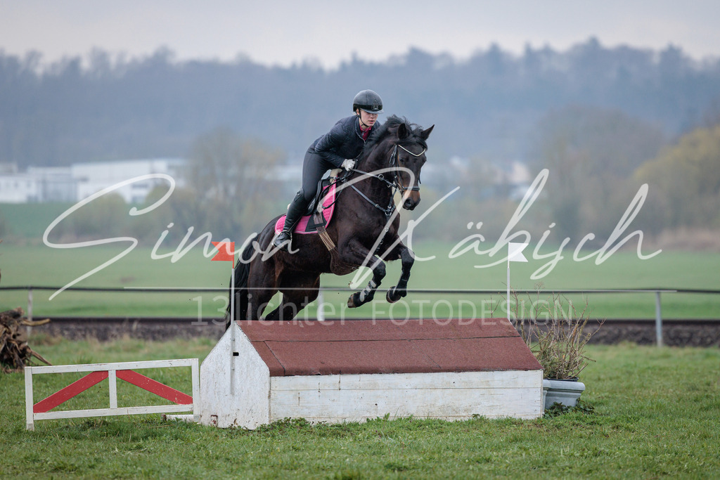 20260329-_3LI4187 | Tierfotografie Pferde, Hunde, Katzen, Haustiere.
Turnierfotografie Reitturniere, Reiten, Springreiten, Dressur in Hanau, dem Main-Kinzig-Kreis und dem Rhein-Main- Gebiet um Frankfurt