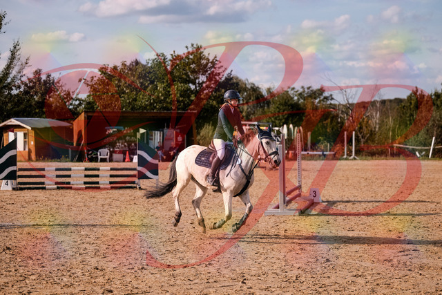 2026_10_03_Siefer-Hof_154523_Z81_64060472 | Professionelle Reitsport-, Turnier- und Eventfotografie von Robert Broda. Galerien mit ausgewählten und bearbeiteten Bildern direkt online ansehen und bestellen.