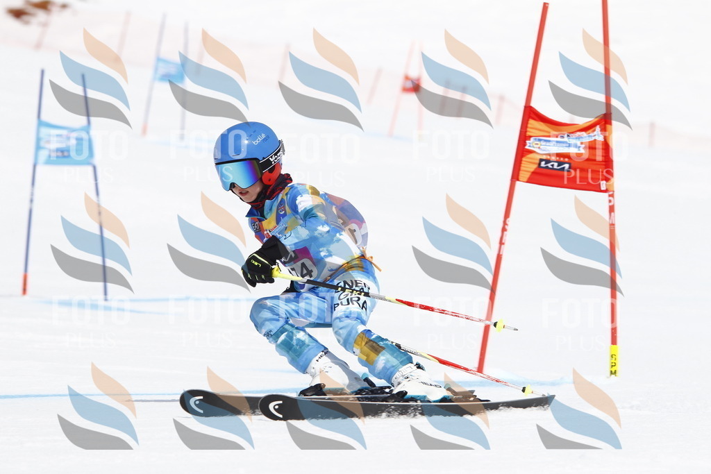 _U3G4596 | holidayphoto