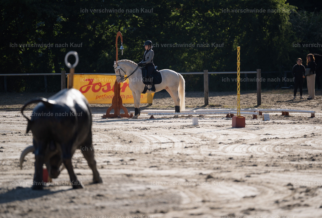 WM_ST_76_stoibphotography__SO10111 | working equitationturnier fotograf videograf stoibphotography marixx film working equitation deutschland reitsport turnierfotografie eventfotografie equestrian events