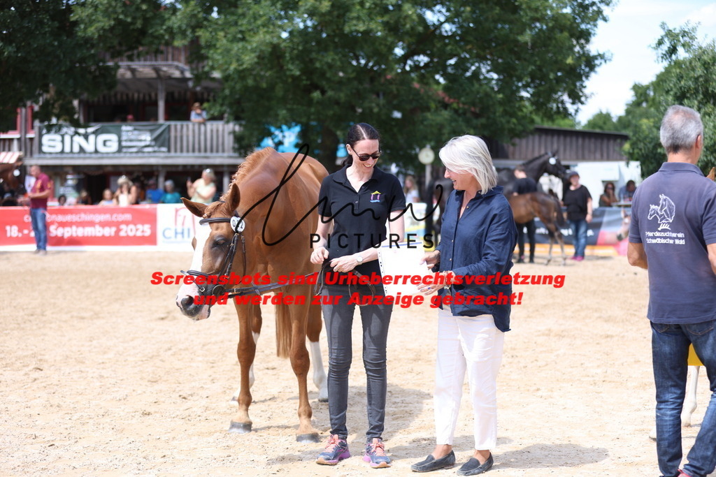 Fohlenschau_Schwäbisch_Hall_springbetonte_Fohlen_SIEGERFOHLEN_KN 22_2 | lmwpictures - Realisiert mit Pictrs.com