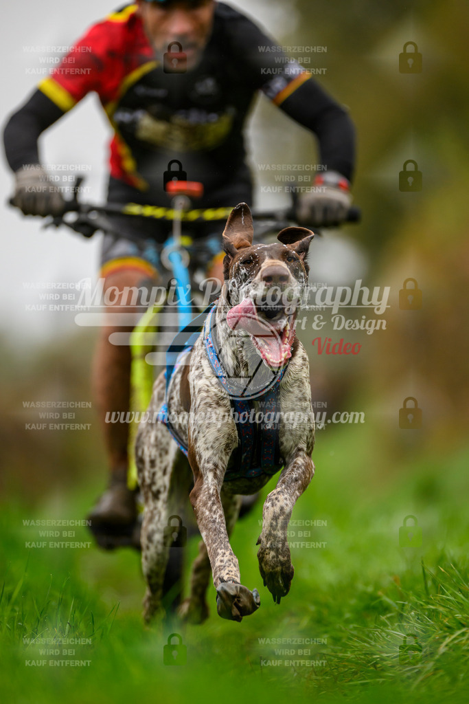 MompixPhotography_20TSB_E8_Bike-19 | PayLife
