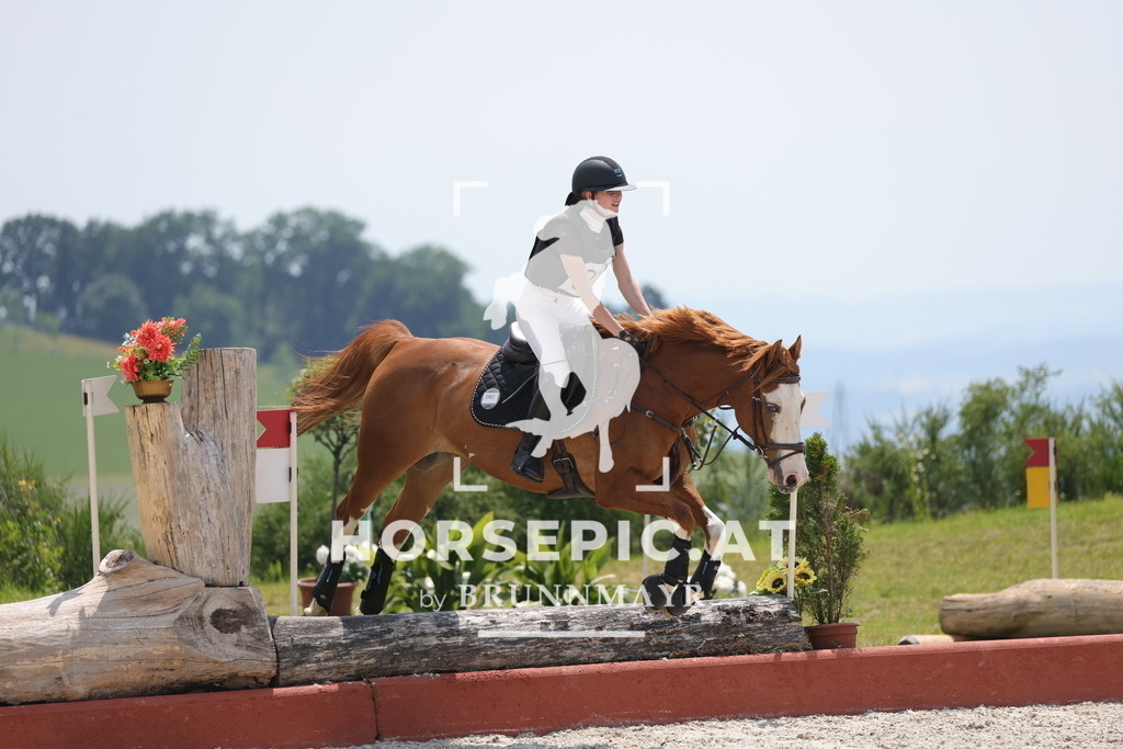 0P6A8558 | Willkommen bei Brunnmayr - Design & Fotografie – Ihrem Spezialisten für Reitturniere und Pferdeveranstaltungen in Oberösterreich, Salzburg und Bayern! Seit über 17 Jahren sind wir leidenschaftlich dabei.