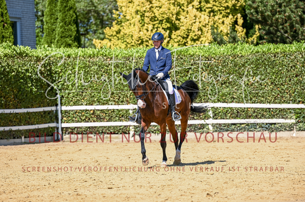 Schugtsche-Aluta25-50.Dressurpferdeprf.L-52 | Schugtsche Fotografie - Realisiert mit Pictrs.com