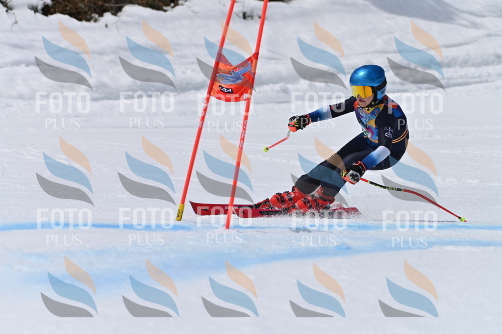 BGV_7012 | holidayphoto