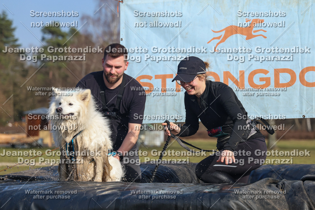 Dog Paparazzi - Strongdog North Mrz26-3411 | Dog Paparazzi Jeanette Grottendiek Fotografie & Videografie - Realisiert mit Pictrs.com