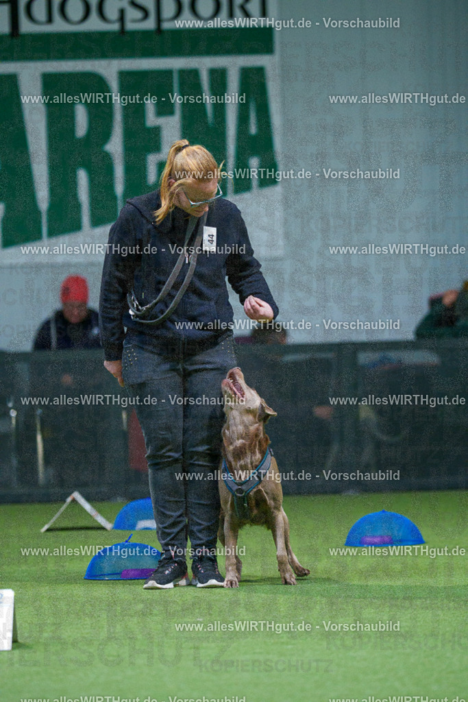 7R501278 | Professionelle Tierfotografie in Mönchengladbach von Daniel Wirth (allesWIRTHgut). Liebevolle & natürliche Bilder von Hunden & Katzen für unvergessliche Erinnerungen.