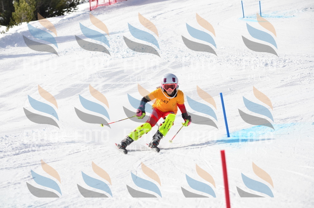 C7728 | holidayphoto