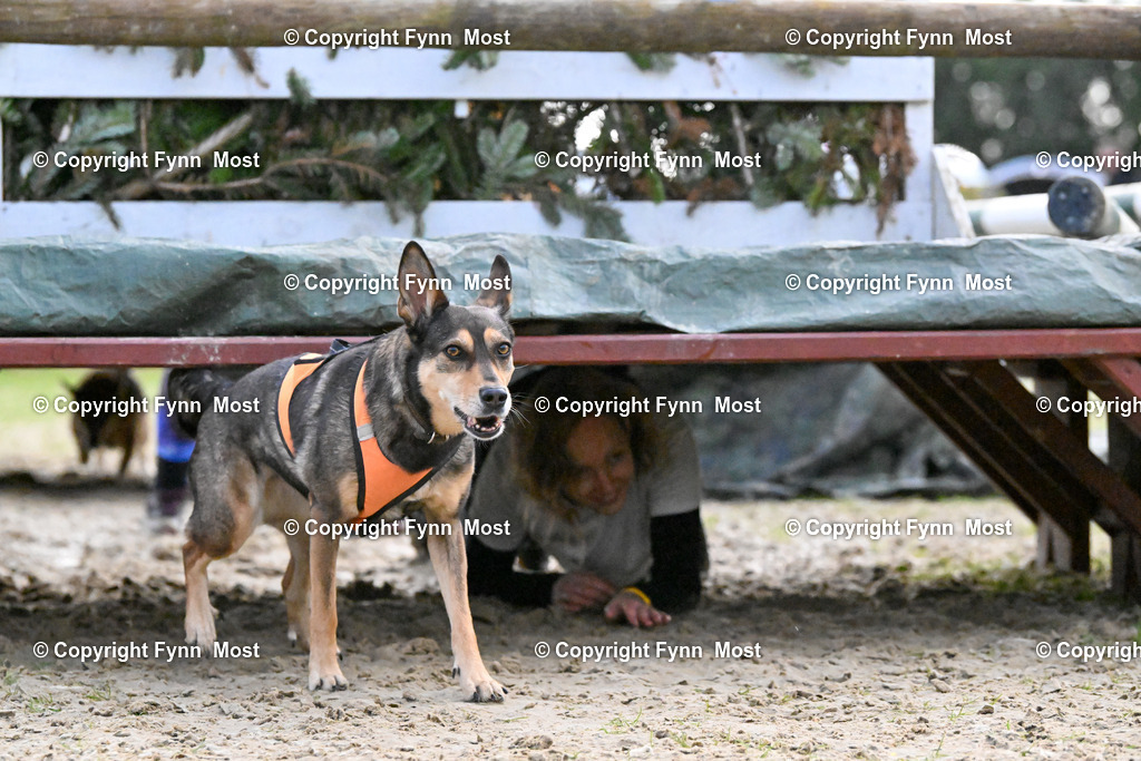 DSC_6063 | Hallo und herzlich Willkommen auf meiner Shop-Seite Fynn Most.

Ich wünsche Dir viel Spaß beim stöbern durch die Bilder, wenn Du Fragen hast oder Bilder vermisst, kannst du mir gerne eine Nachricht schreiben. - Realisiert mit Pictrs.com