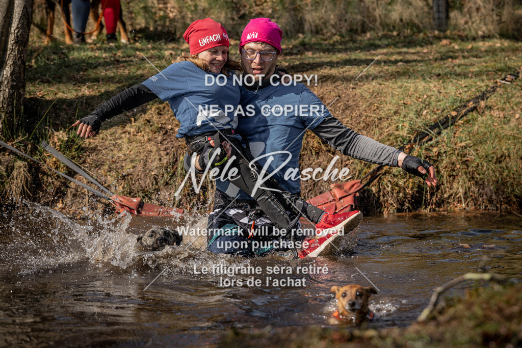 nelerasche_FS1330-1400_36 | nelerasche