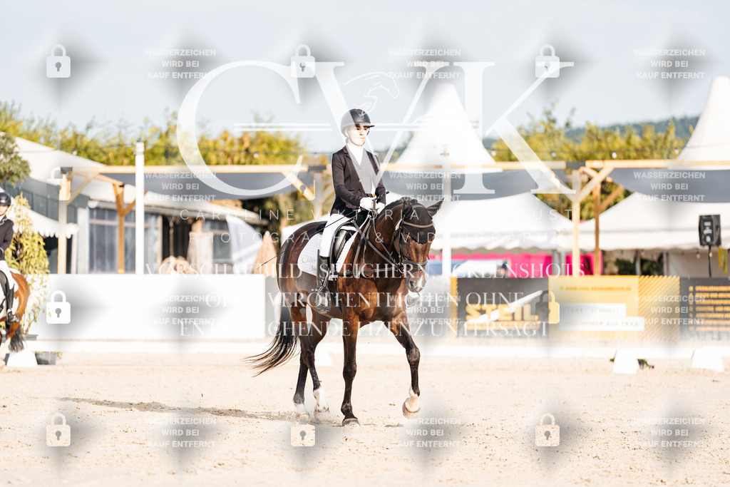 CK903884 | Turnierfotografie Pferdefotografie Trier Rheinland-Pfalz Pferdesport Reitsport Tierfotografie Sportfotografie Pferdevideo Pferdevideografie Equestrianvideography equestrianphotography  - Realisiert mit Pictrs.com