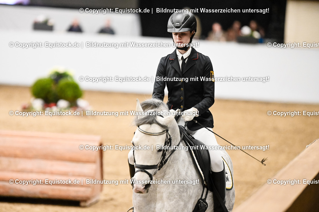 20260307_Hengstvorstellung-Marbach_0428 | equistock