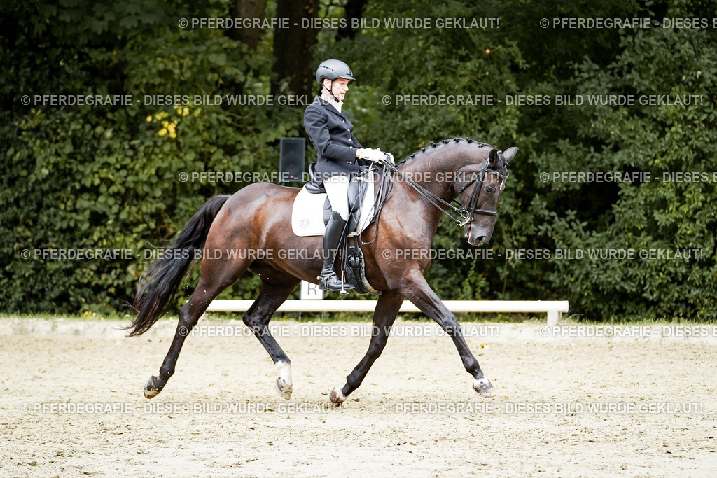 DSC05861 | Pferdegrafie