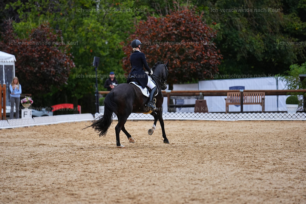8_1-212-Klasse S_  -Marixx-4273 | working equitationturnier fotograf videograf stoibphotography marixx film working equitation deutschland reitsport turnierfotografie eventfotografie equestrian events