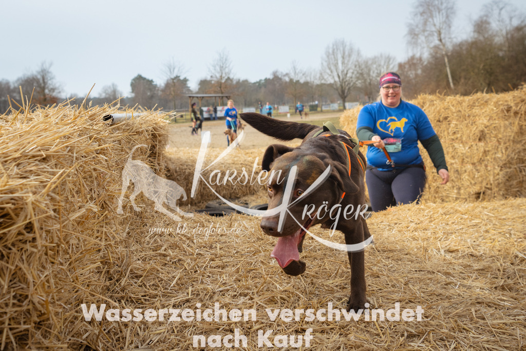 1031_ZZ95746 | kk-dogfotos