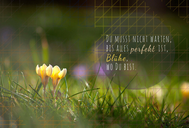 Februar_Krokus | Schöne Postkarten, Kalender und Fotogeschenke für verschiedene Anlässe online kaufen – Urlaubskarten, Geburtstagskarten, Karten, Polaroids und Geschenke zu Weihnachten, Ostern, Muttertag, Valentinstag oder zur Hochzeit - Realisiert mit Pictrs.com