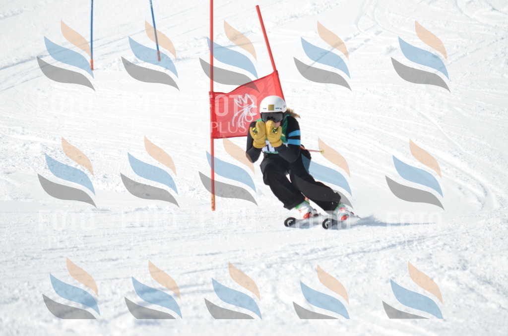 D9186 | holidayphoto